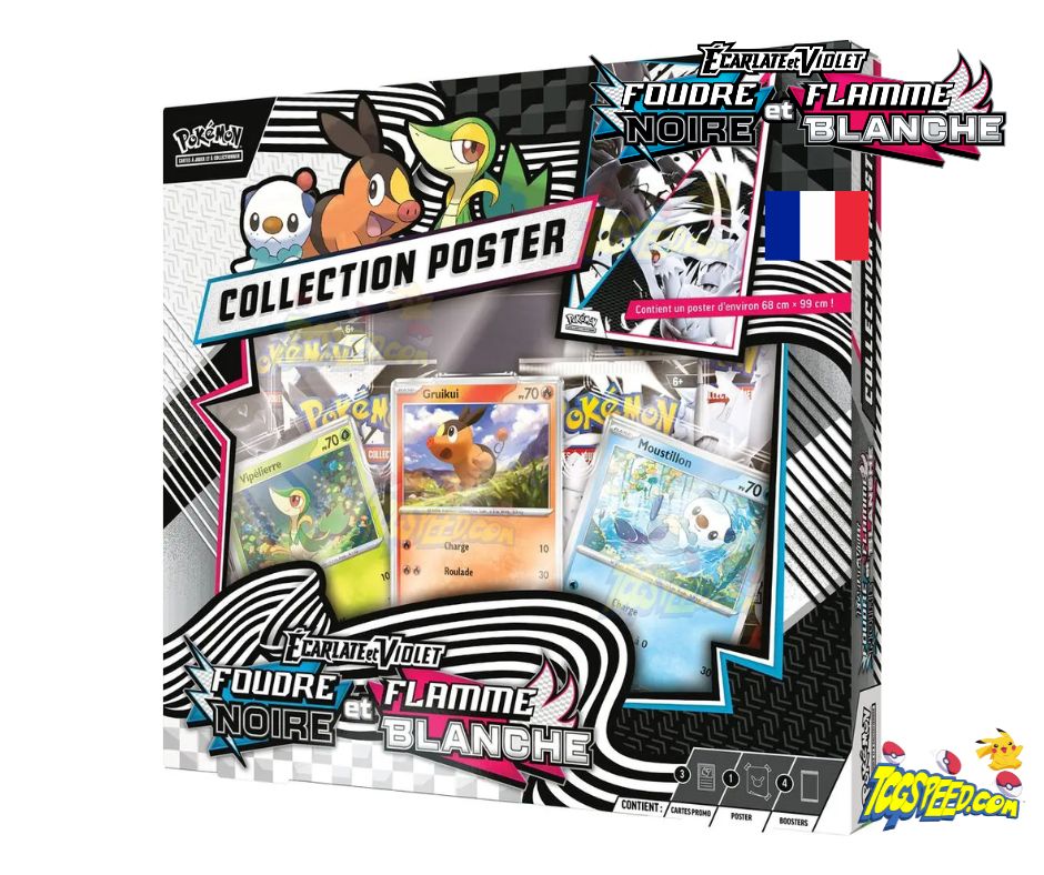 Coffret Collection Poster EV10.5 Foudre Noire Flamme Blanche Version française